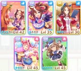 Screenshot_20250812_075834_Umamusume