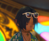 ffxiv_dx11_xGV989wrJ1