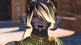 ffxiv_dx11 2025-08-11 23-37-51