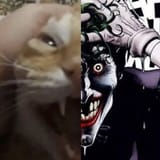 1731053153231472