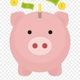 paypig