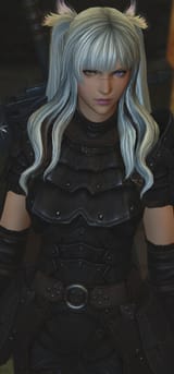 ffxiv_dx11 2025-08-12 14-44-00_313