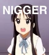 nigger