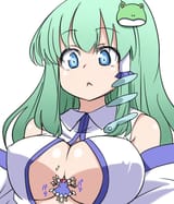 __kochiya_sanae_and_cirno_touhou_drawn_by_tori_minamopa__ef8f1156ebc8a77e8a12a41db13b7155