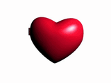 liver