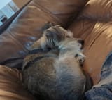 IMG_20241005_103627_1