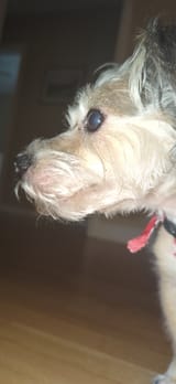 IMG_20240816_170619
