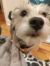 IMG_20190331_071130_01
