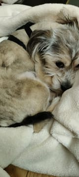 IMG_20230816_124110