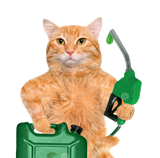 cat-s-hand-using-fuel-nozzle-drop-eco-friendly-fuel-isolated-white-602623723