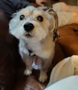 IMG_20230604_174601