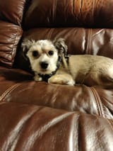 IMG_20190505_230211