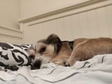 IMG_20190304_144740