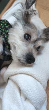 IMG_20250319_131630