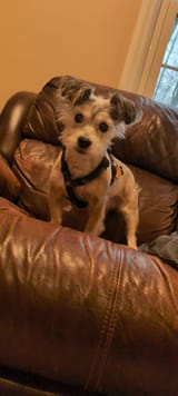 IMG_20250324_110410