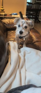 IMG_20250330_123453