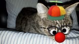 clown_rocky