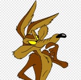 png-transparent-wile-e-coyote-and-the-road-runner-looney-tunes-acme-corporation-coyote-mammal-carnivoran-dog-like-mammal