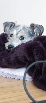 IMG_20250409_123429