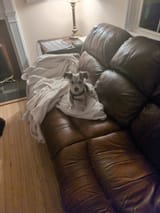 IMG_20250415_054929_594