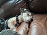IMG_20250707_131909_606