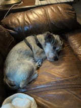 IMG_1752500146277