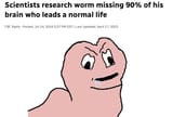 worm news