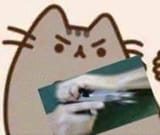 delet meow