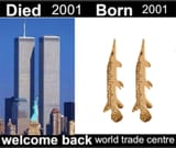 a8pi3xg7b7ce1