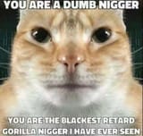 1737518900172868