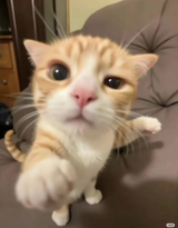 1719162563220812