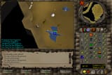 bluedrags