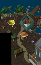 Ultima home plus road