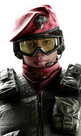alibi