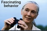 fascinating behavior