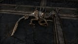 robo raptor