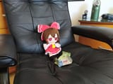 IMG_20220420_115752