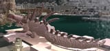 thorny lizard art