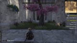 Elder_Scrolls_Online_27_05_2025_15_57_27