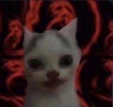 1693218117513172