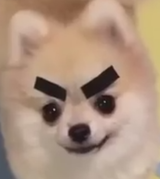 1637552830679
