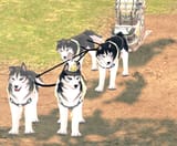 doghat