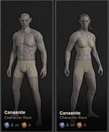 Dark and darker canaanite