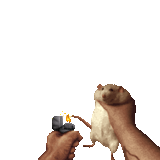 1704464264353215