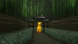 bamboo forest