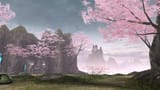 cherry blossom