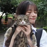 Rena Miyashita 宮下玲奈 Neko face