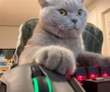 gamer_10