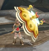 parasol