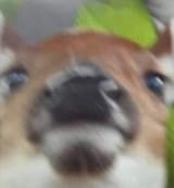 1749564925577543